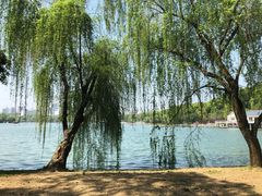 -食膳公园包子铺(烈士公园店)