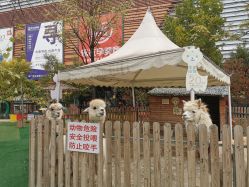 -萌宠亲子动物乐园(槐房万达店)