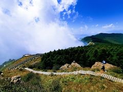 -白草畔自然风景区