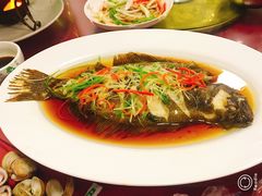 -小叶大馅饺子城