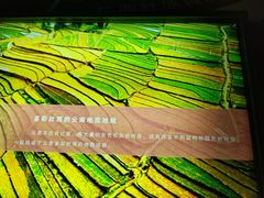 -云南省博物馆