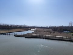 -溱湖国家湿地公园