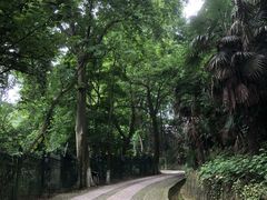 -紫金山天文台