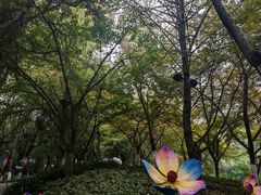 -天目湖山水园