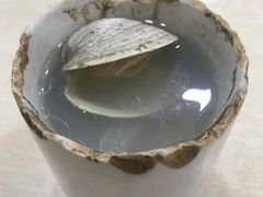 -广达眼镜炖罐(广达店)