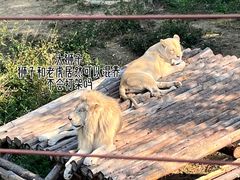 -泉州海丝野生动物世界