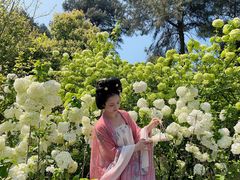 -铁山坪森林公园