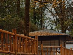 -西湖风景区十里琅珰-五云山