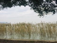 -湖山人家·湖景餐厅·特色农家菜(太湖西山店)