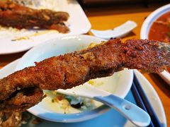 -鳅香泥鳅特色主题餐厅