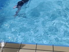 -重庆市奥林匹克体育中心-游泳跳水馆