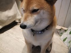 -小时光咖啡馆(北锣鼓巷店)