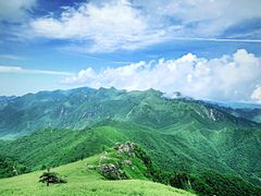 -秦岭风景区