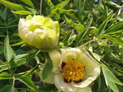 -国家植物园南园