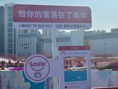-沈阳奥体冰雪嘉年华