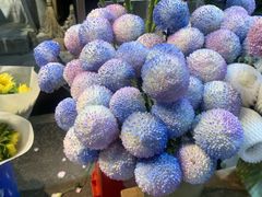 -循礼门鲜花花市(武汉循礼门店)