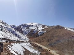 -马白开来特色羊排揪片子  (总店)