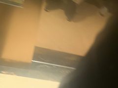 -镇南锅盖面馆(解放路店)