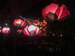 -河内西湖莲花自助餐厅