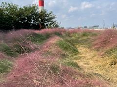 -上海山野camping·户外天幕烧烤·团建拓展营地