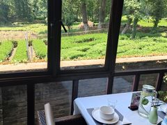 -野蔓果·山野菜(西湖景区·龙井茶田店)