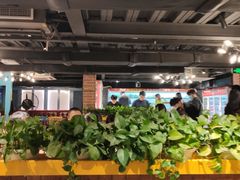 大堂-钢管厂五区小郡肝火锅串串香(清河店)