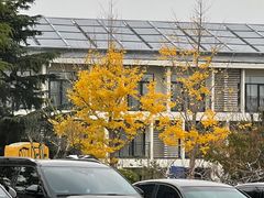 -威海天沐度假区温泉
