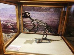 -国家自然博物馆