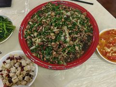 -东吴霸王兔(松青路店)