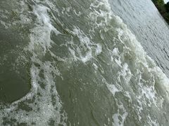 -苏州太湖国家湿地公园