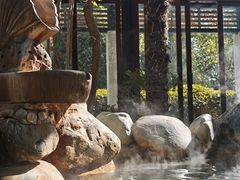 -张家港金凤凰度假村温泉
