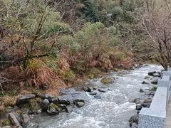 -石台牯牛降景区