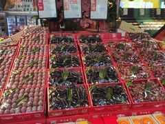 -鲜力达果品批发直销(青山店)