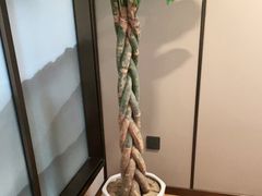 -宴昆山·私房菜(春晖店)