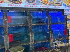 -鑫鸿达·海鲜闽菜热炒小馆(中山路店)