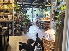 -自由生长植物工作室(深港花卉中心店)