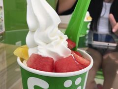 -Salud撒露欧洲冻酸奶(北苑上品店)