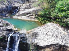 -广州白江湖森林公园