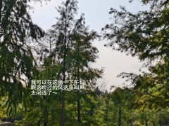 -上海长兴岛郊野公园