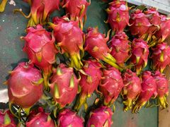 -乐乐鲜果水果超市(河北店)