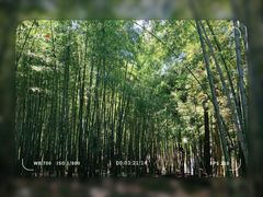 -重庆雨台山风景区