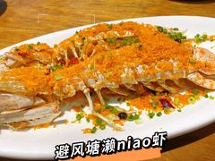 -驻海渔市(置信店)