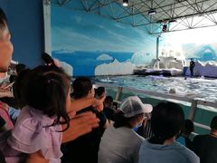 -秦皇岛乐岛海洋王国