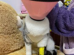 -联合动物医院(光谷诊疗中心)
