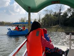 -上海长兴岛郊野公园