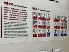 -御宝贝24h宠物医院·转诊中心·CT核磁血透中心(厦门总院)