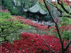 -申粤轩酒楼·三十年粤菜经典(丁香花园店)
