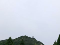 -龙口南山旅游景区