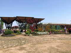 -上海长兴岛郊野公园