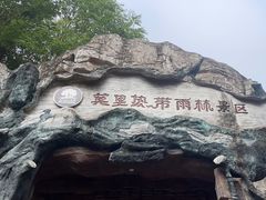 -莫里热带雨林景区
